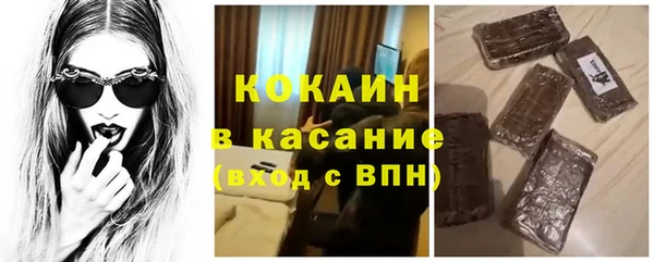 крисы Бородино