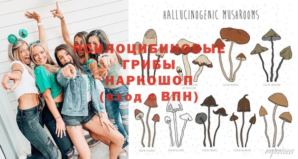 крисы Бородино