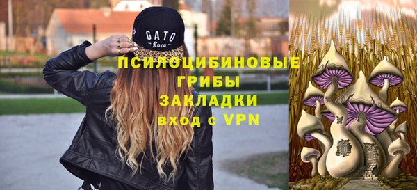 бутират Богородск