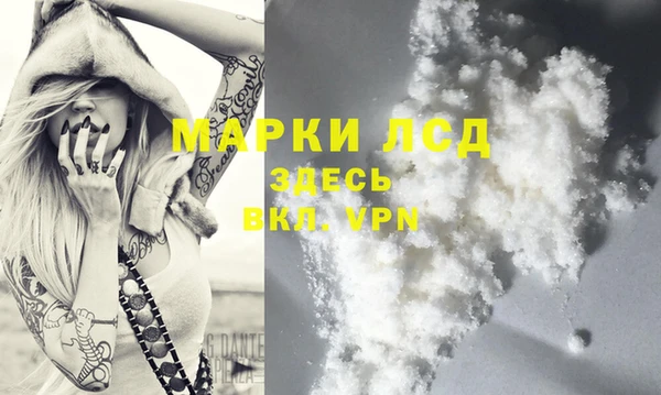 крисы Бородино